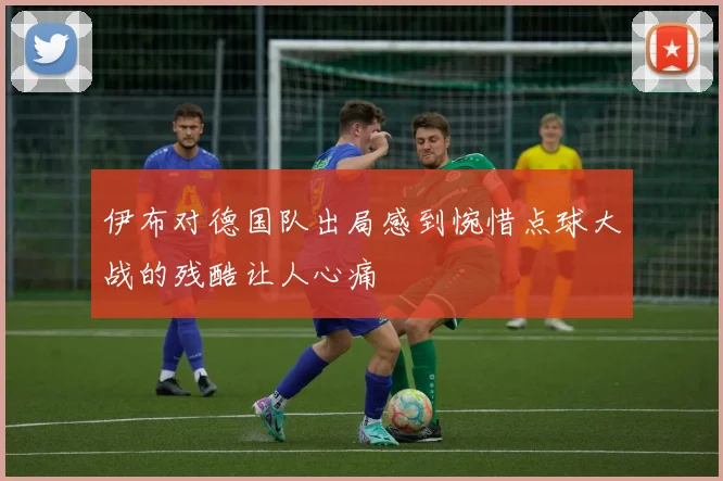 伊布对德国队出局感到惋惜点球大战的残酷让人心痛